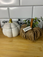 Fall Pumpkin Candles