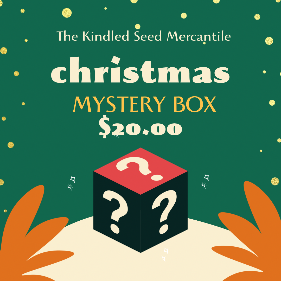 Christmas Mystery Box - $20 Value