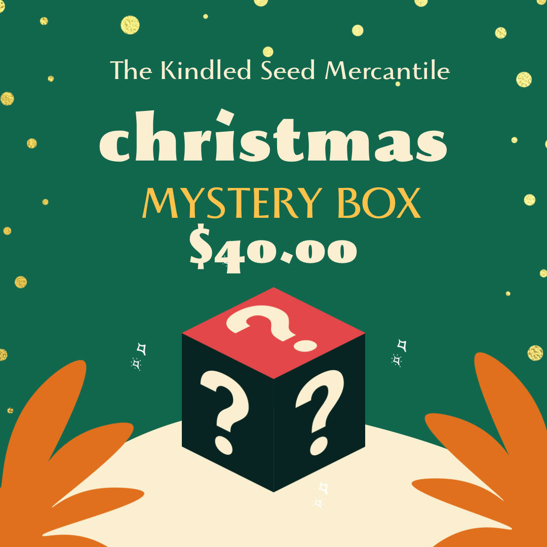 Christmas Mystery Box - $40 Value
