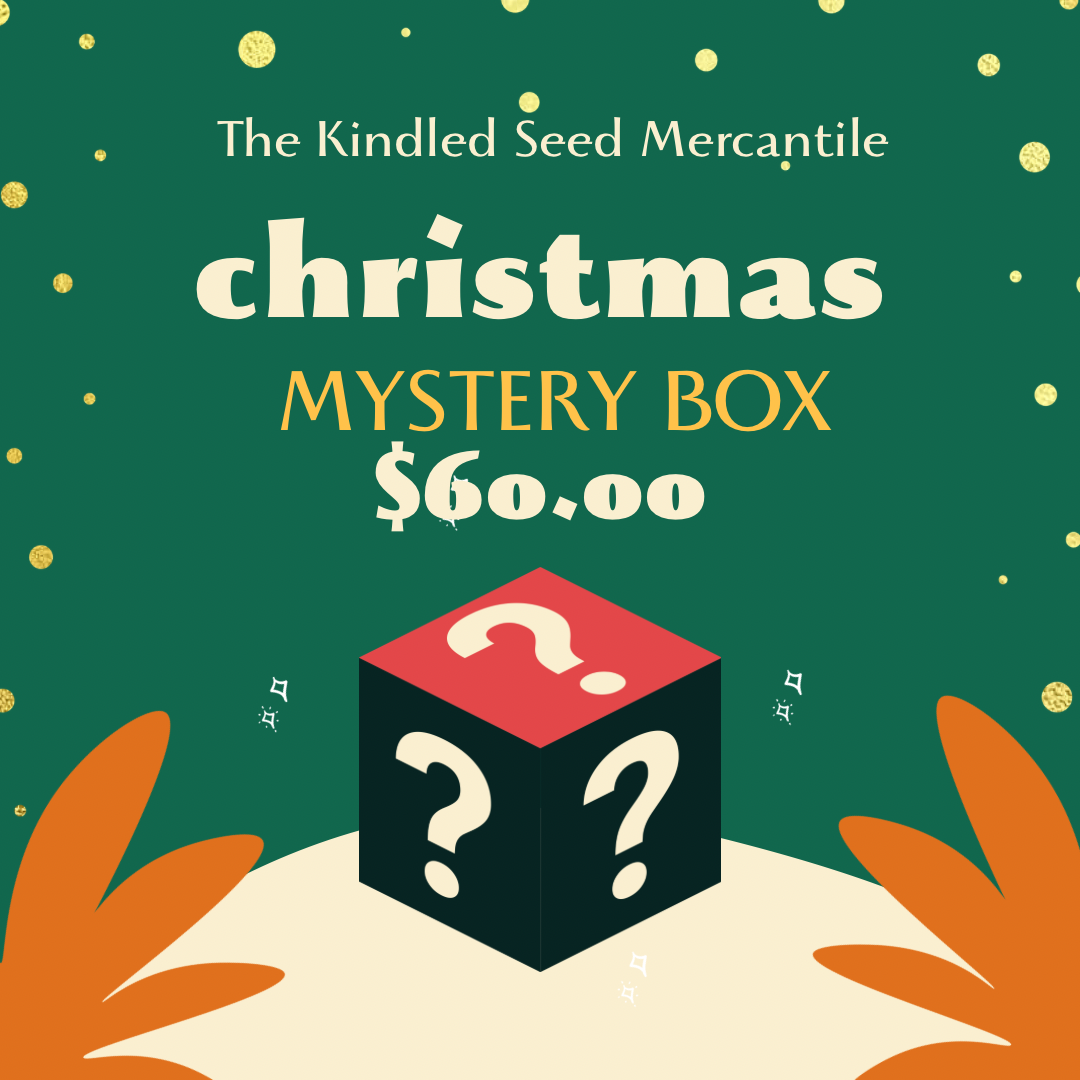 Christmas Mystery Box - $60 Value